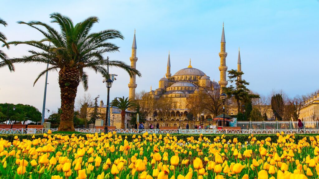 emirgan tulip gardens , tulip gardens , مهرجان التوليب , مهرجان التوليب في اسطنبول , emirgan tulip , مهرجان توليب اسطنبول