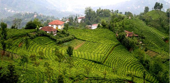 rize turkey , مدينة ريزا تركيا , ريزا الشمال التركي , ريزا التركية , مدينة ريزا التركية , ريزا، ريزا تركيا، السياحة في ريزا، معالم ريزا، أماكن سياحية في ريزا، مرتفعات آيدر، مزارع الشاي، شلالات ريزا، وادي الرياح، أفضل أوقات زيارة ريزا، أنشطة في ريزا، السياحة في الشمال التركي